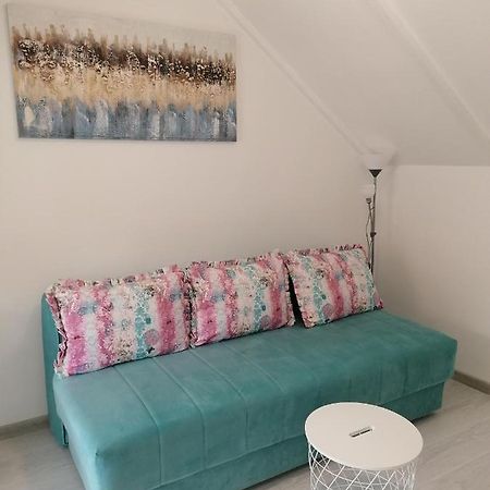 Apartman Andrijana 1 Сокобаня Екстер'єр фото